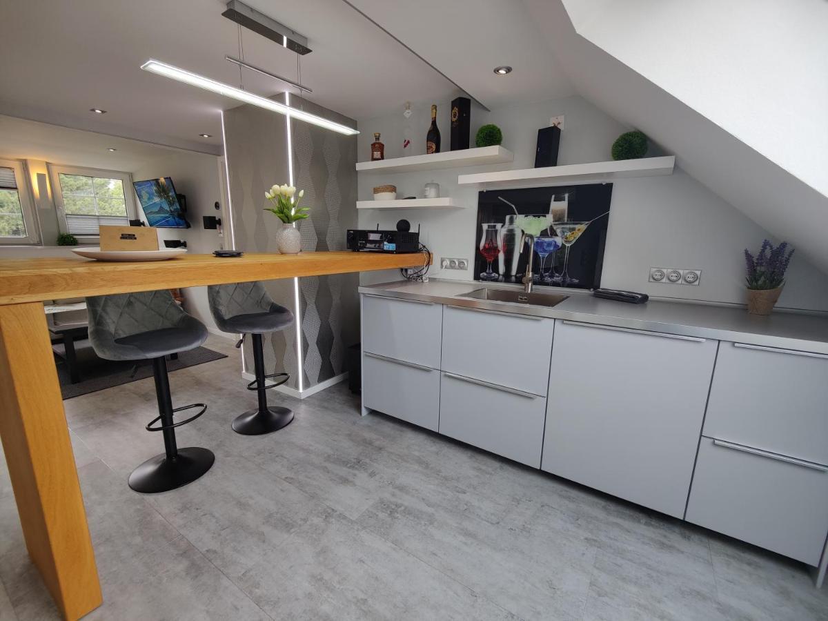 Ferienhaus Villa Adelsberg Mit Dachterrasse In Zentraler Lage Fuer Bis Zu 10 Personen Chemnitz Exterior foto
